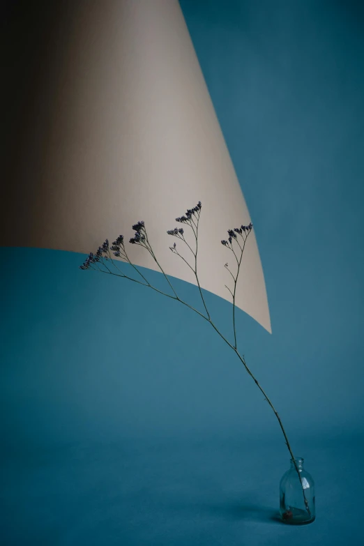 a close up of a vase with a plant in it, inspired by Robert Mapplethorpe, conceptual art, blue sky, sails, shot with sony alpha 1 camera, botanical herbarium paper