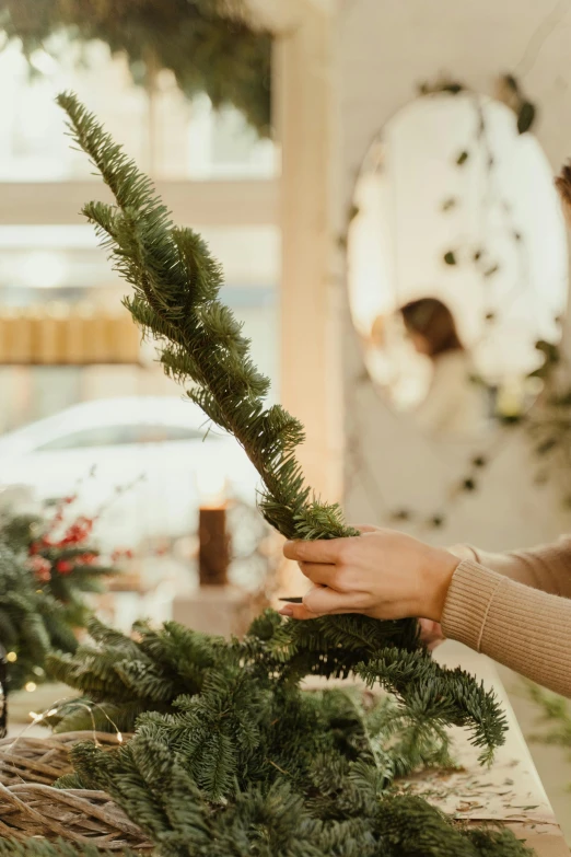 a woman decorating a christmas tree in a living room, a photo, trending on pexels, folk art, wreath of ferns, detail shot, with a sleek spoiler, 1 6 x 1 6