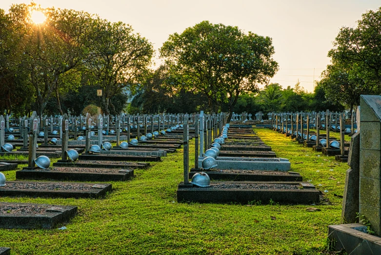 a cemetery filled with lots of tombstones and trees, golden hour photo, profile image, lawn, advertising photo