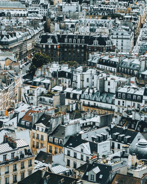 a view of paris from the top of the eiffel tower, a cartoon, unsplash contest winner, paris school, stacked houses, lgbtq, background image, square