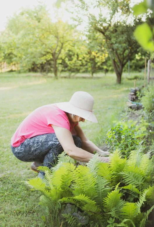 a woman that is kneeling down in the grass, gardening, profile image, lush greenery, maintenance