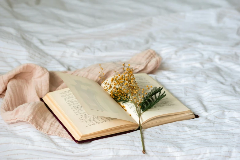 an open book sitting on top of a bed, a still life, by Alice Mason, trending on unsplash, romanticism, herbs and flowers, pale yellow wallpaper, white and pink cloth, lecherous pose