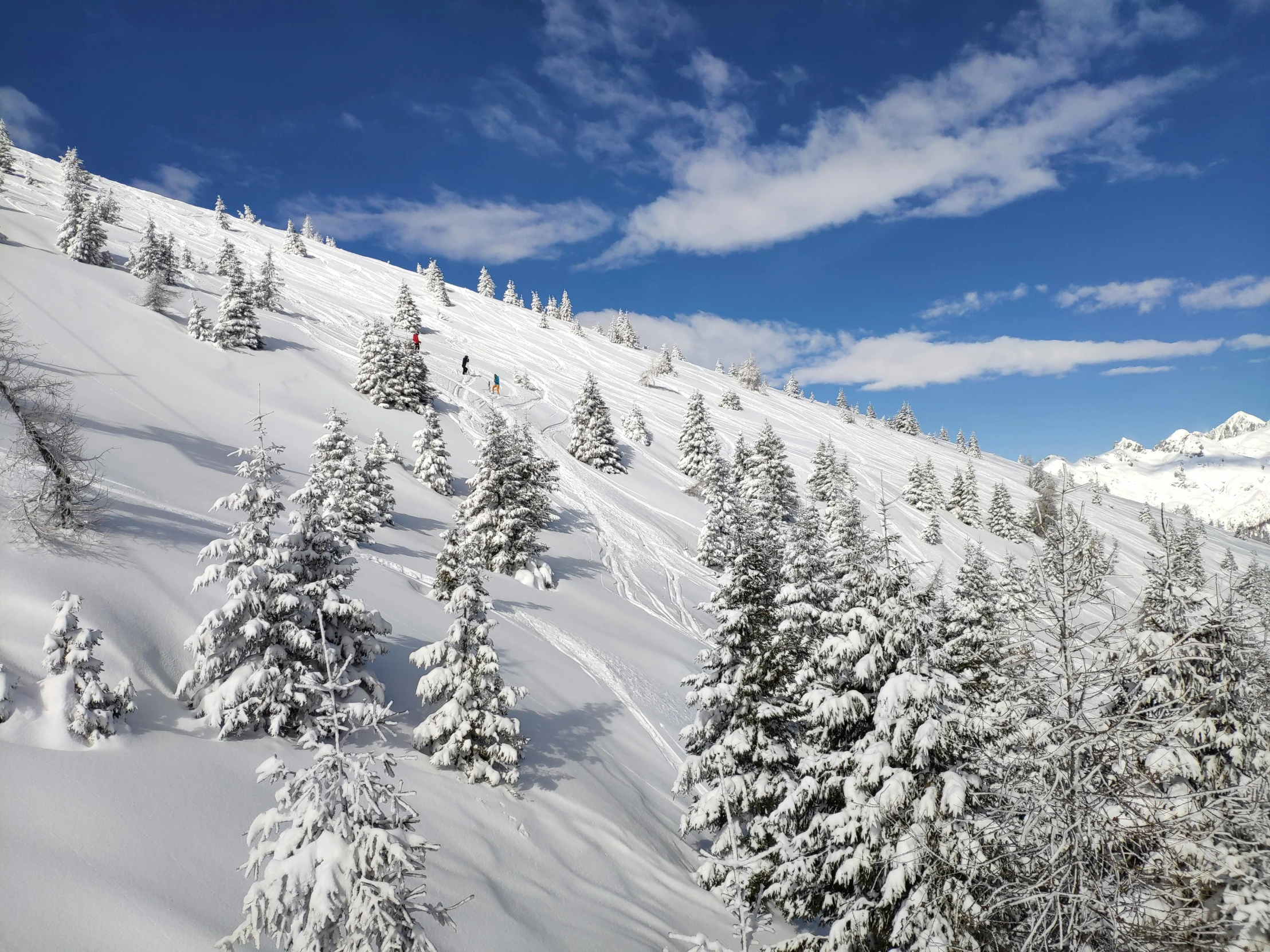 a group of people riding skis down a snow covered slope, les nabis, cannon snow covered trees, profile image, big sky, multiple stories