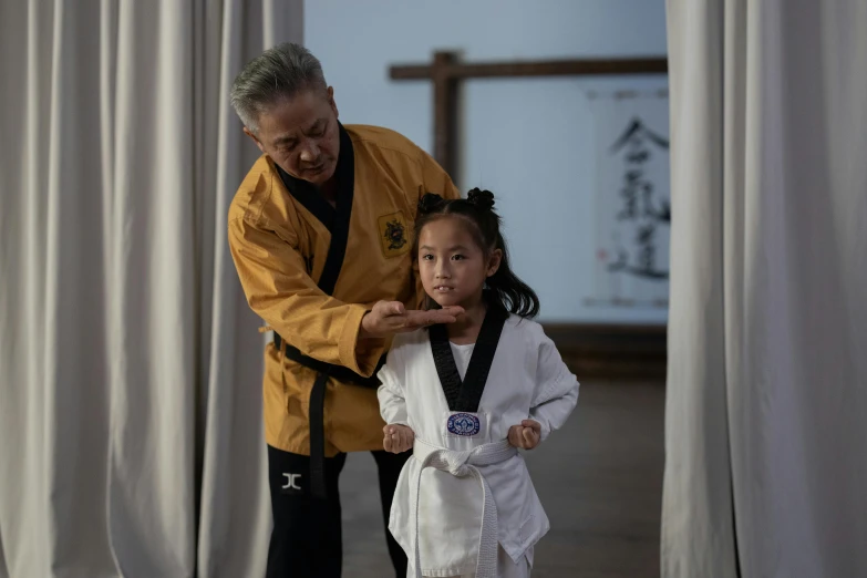a woman teaching a little girl how to do karate, a portrait, inspired by Li Shixing, pexels contest winner, wearing long silver robes, brown, taiwan, 4k post