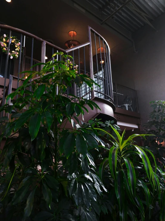 a man flying through the air while riding a skateboard, inspired by Elsa Bleda, unsplash, renaissance, plants on balconies, picture of an interior loft, on a planet of lush foliage, 8k 50mm iso 10