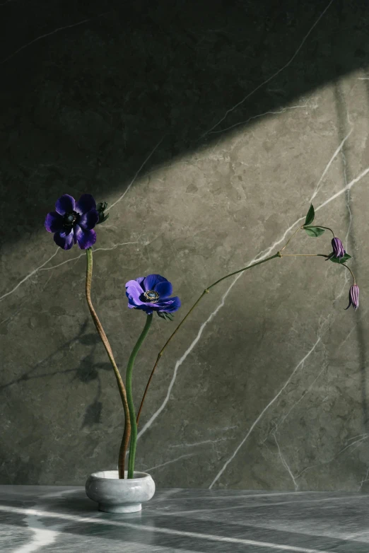 a vase that has some purple flowers in it, an album cover, unsplash, realism, polished concrete, himalayan poppy flowers, shadow and light, cracks