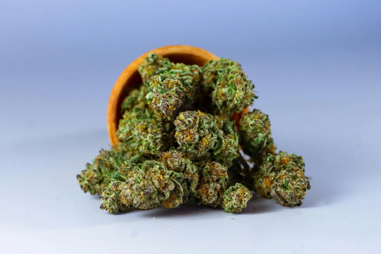 a pile of marijuana buds sitting on top of a table, a portrait, unsplash, hurufiyya, some orange and purple, large potted plant, detailed product image, from the elbow