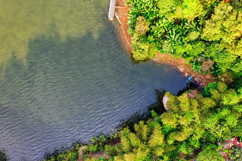 a large body of water surrounded by trees, pexels contest winner, looking down from above, near a jetty, lush vegetation, bird\'s eye view