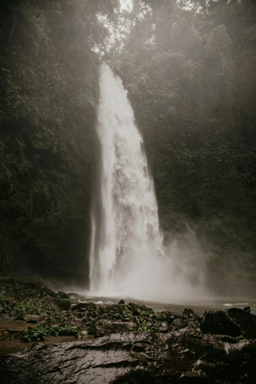 a waterfall in the middle of a forest, by David Begbie, pexels contest winner, hurufiyya, coban, rain lit, tall thin, te pae