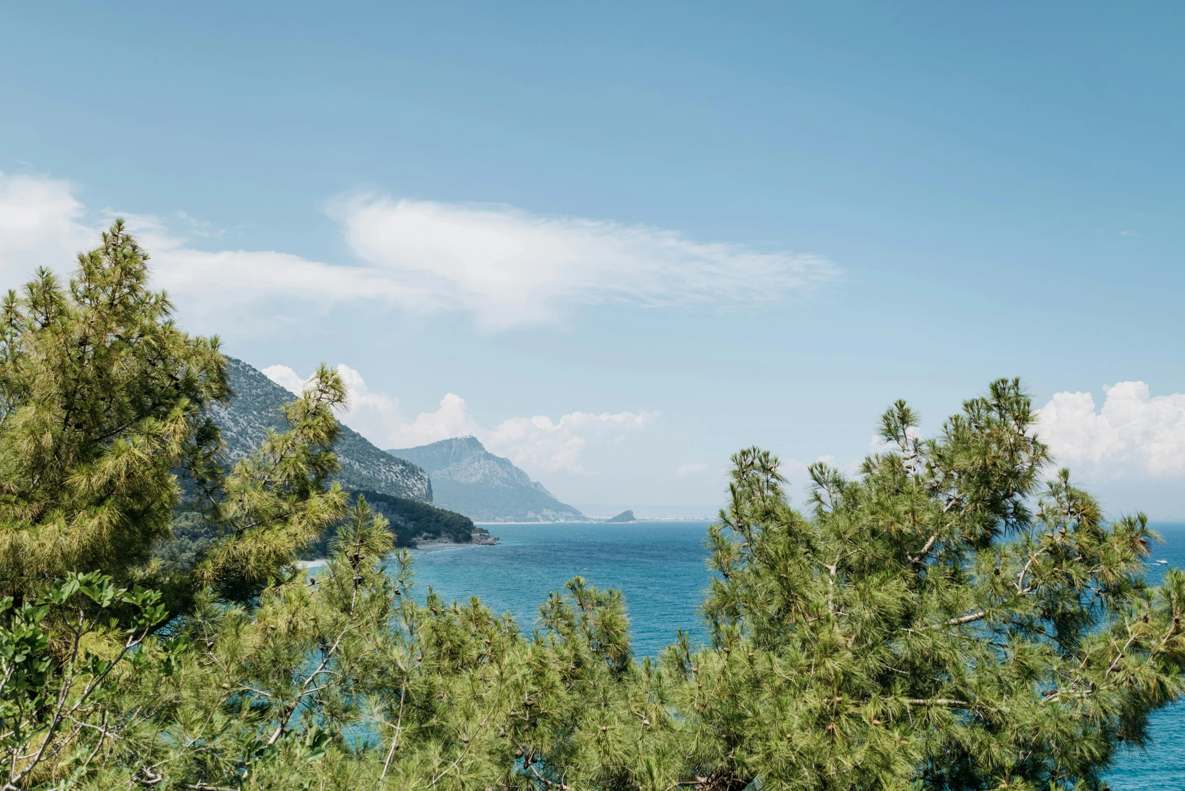 a large body of water surrounded by trees, a picture, inspired by Carlo Randanini, unsplash contest winner, capri coast, blue skies, mountain plants, marbella