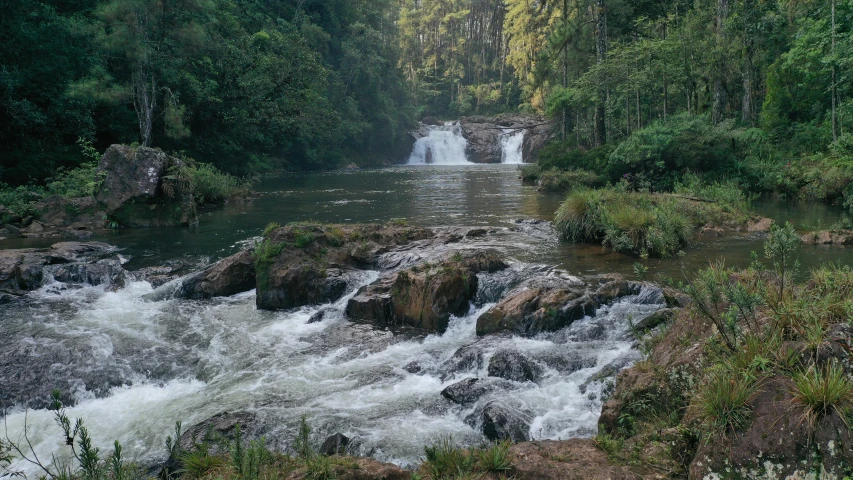 a river running through a lush green forest, hurufiyya, rainbow river waterfall, tamborine, multiple stories, thumbnail