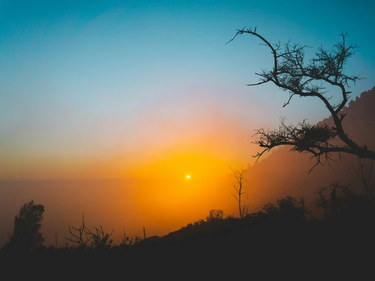 a tree sitting on top of a lush green hillside, pexels contest winner, romanticism, orange sun set, foggy light from fires, sunset in the desert, indian forest