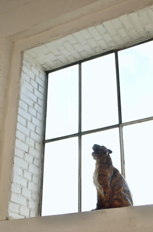 a cat sitting on top of a window sill, by Lucette Barker, new sculpture, a tiger, subject: dog, glass studio, window ( city )