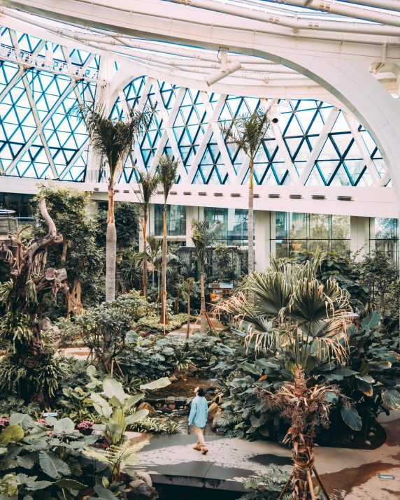 a greenhouse filled with lots of plants and trees, unsplash contest winner, visual art, in magnificent shopping mall, te pae, full body wide shot, honeycomb halls