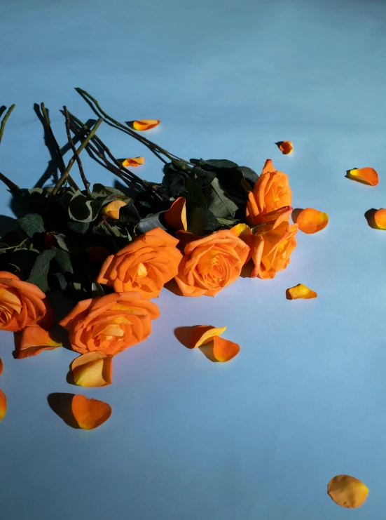 a bunch of orange roses sitting on top of a table, an album cover, unsplash, photorealism, clemens ascher, falling petals, high quality photo, yet unrecognizable