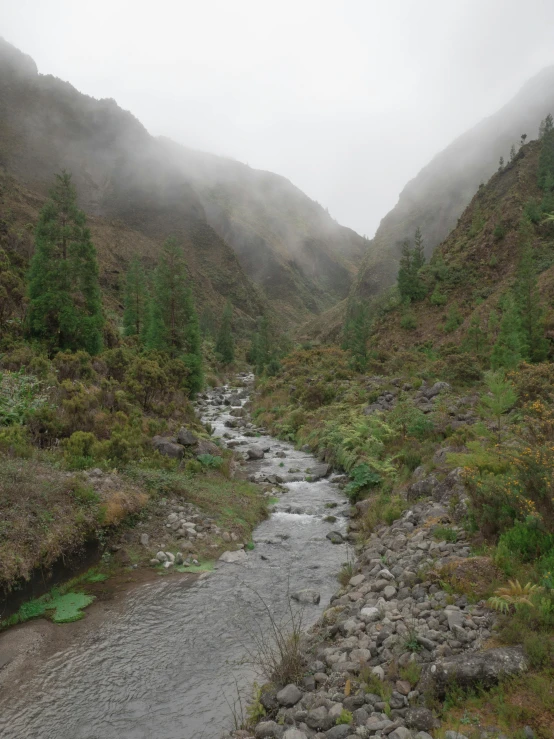 a river running through a lush green valley, hurufiyya, volcano fog, smug smirk, real-life brook, low quality photo