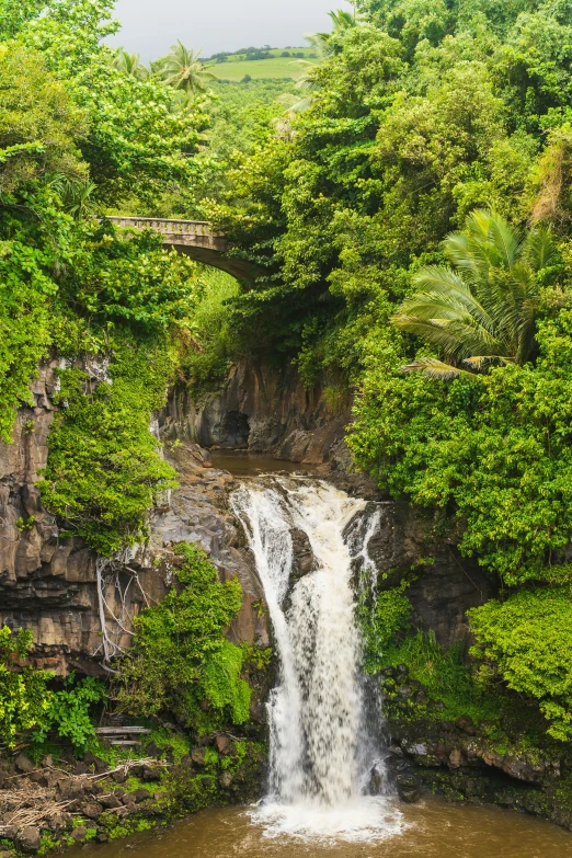 a waterfall in the middle of a lush green forest, reunion island, archways made of lush greenery, high view, slide show