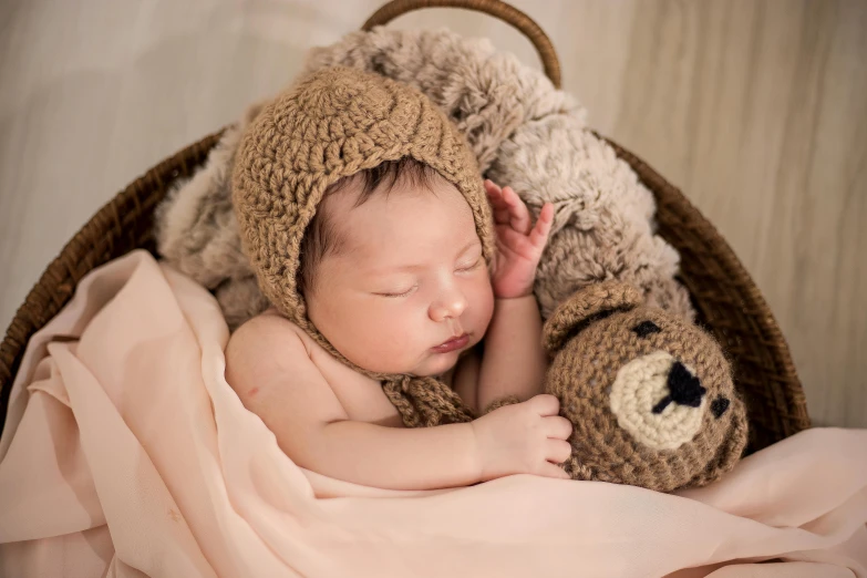 a baby sleeping in a basket with a teddy bear, inspired by Anne Geddes, pexels, fan favorite, beige, fashionable, brown