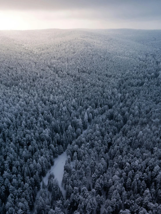 an aerial view of a snow covered forest, pexels contest winner, overlooking a vast serene forest, espoo, grey