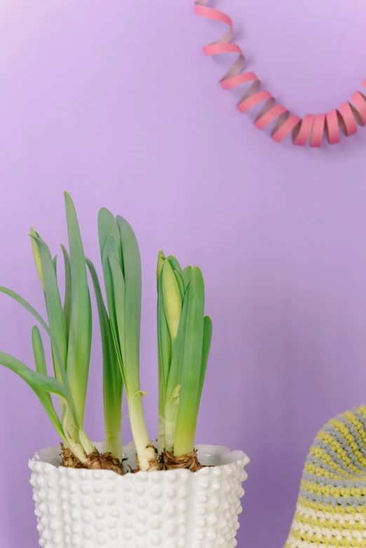 a couple of potted plants sitting on top of a table, inspired by Hyacinthe Rigaud, proud onion hybrid thanos, pastel neon colors, 3 are spring, product display photograph