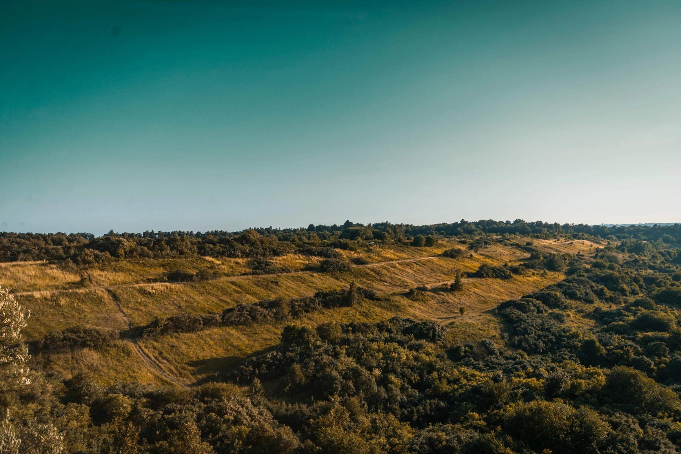 a man riding a dirt bike on top of a lush green hillside, by Adam Marczyński, unsplash contest winner, les nabis, panorama view of the sky, agrigento, minecraft landscape, shot at golden hour