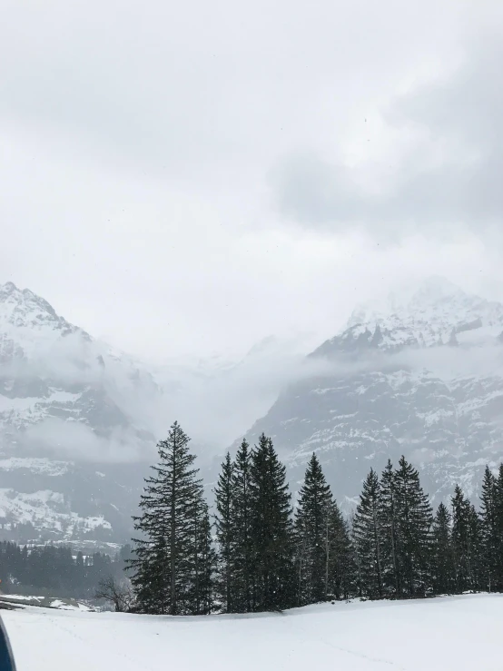 a man riding skis down a snow covered slope, by Johannes Voss, pexels contest winner, visual art, overcast gray skies, overlooking a valley with trees, lauterbrunnen valley, a cozy