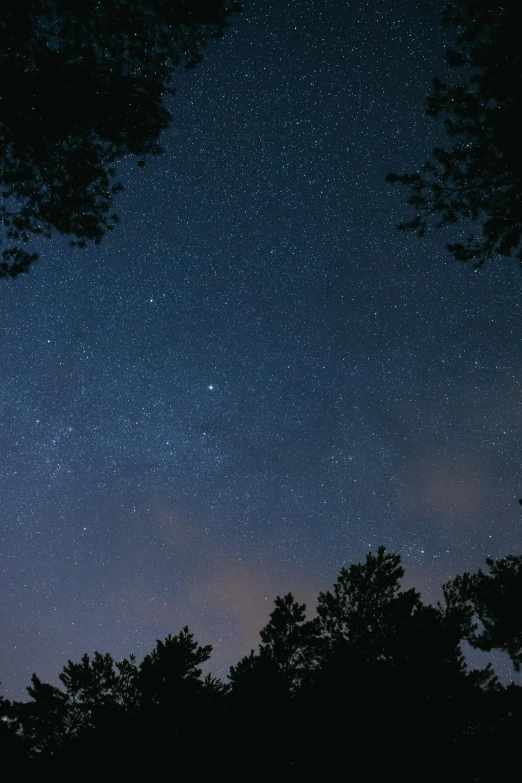 a night sky filled with lots of stars, trending on unsplash, light and space, in the woods at night, late summer evening, grainy, paul barson