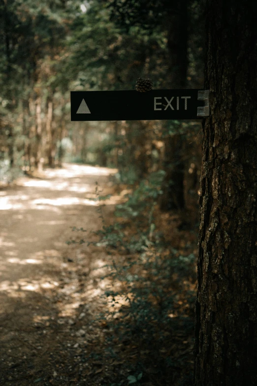 an exit sign in the middle of a forest, pexels contest winner, under the soft shadow of a tree, profile image, campsites, a park