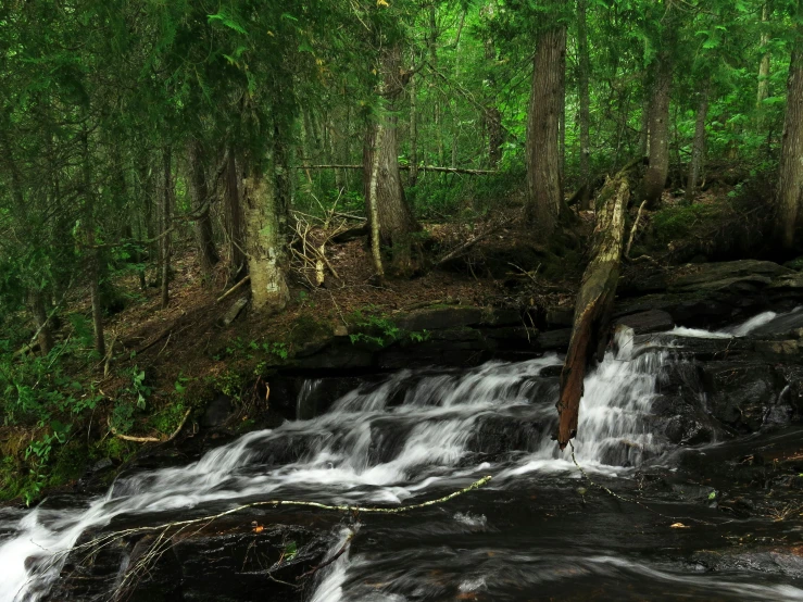 a stream running through a lush green forest, an album cover, by Harry Haenigsen, pexels contest winner, hurufiyya, water flow, sandfalls, taiga, 2 5 6 x 2 5 6 pixels