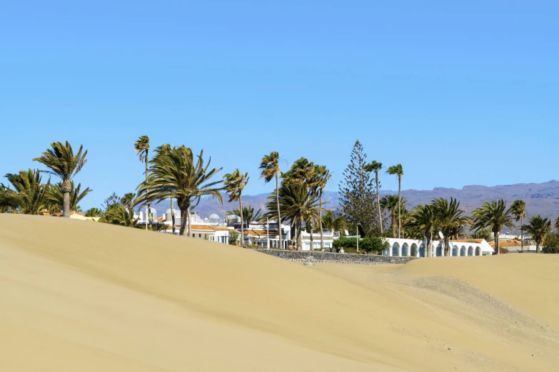 a man riding a surfboard on top of a sandy beach, arid mountains and palm forest, white houses, walking over sand dunes, 🚿🗝📝