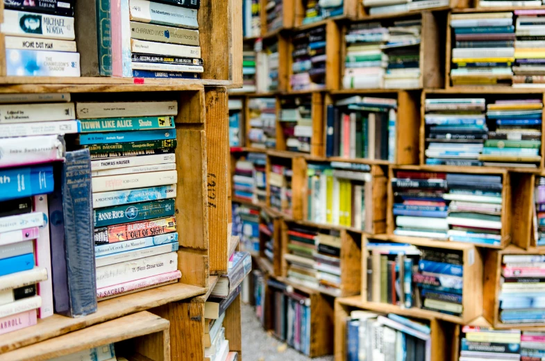 a book store filled with lots of books, by Niko Henrichon, unsplash, cardboard, piled around, tourist photo, artisanal art