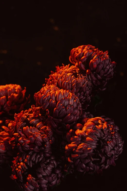 a bunch of pine cones sitting on top of a table, an album cover, hyperrealism, streams of glowing hot lava, medium close-up shot, chrysanthemum eos-1d, alessio albi