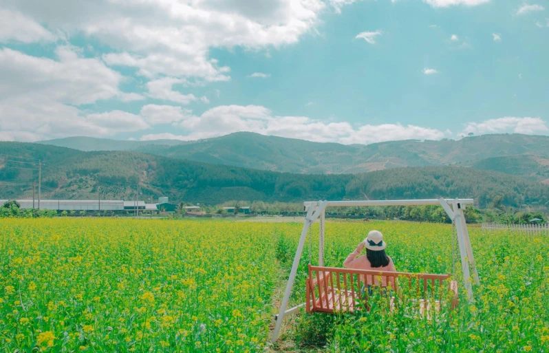 a person sitting on a bench in a field, by Simon Gaon, pexels contest winner, color field, gunma prefecture, 🌻🎹🎼, jin shan, lush scenery