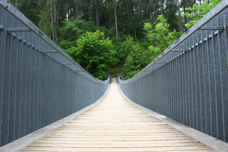 a close up of a bridge with trees in the background, an album cover, inspired by Jan Müller, pexels contest winner, perfectly symmetrical, hiking trail, 2 5 6 x 2 5 6 pixels, whistler