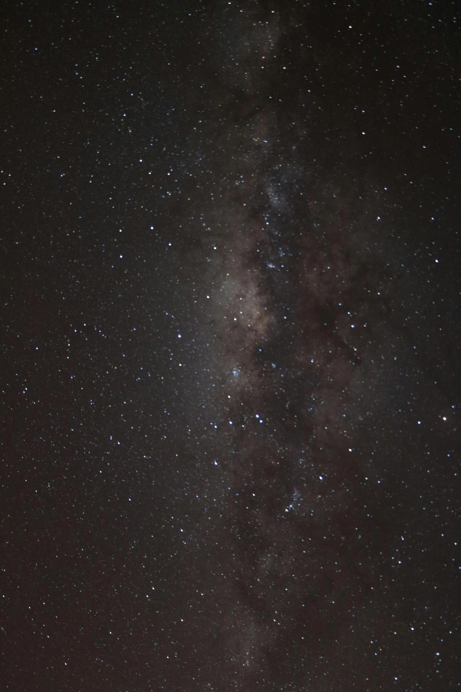 the milky shines brightly in the night sky, by Daniel Seghers, neck zoomed in, brown, large sky, high detail photo