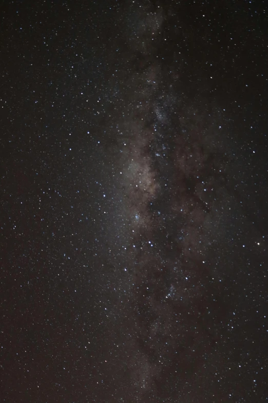 the milky shines brightly in the night sky, by Daniel Seghers, neck zoomed in, brown, large sky, high detail photo