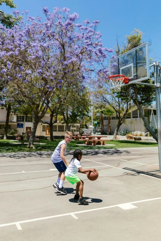 a couple of kids playing a game of basketball, by Gavin Hamilton, dribble, heidelberg school, oceanside, green square, 4k resolution”, low quality photo