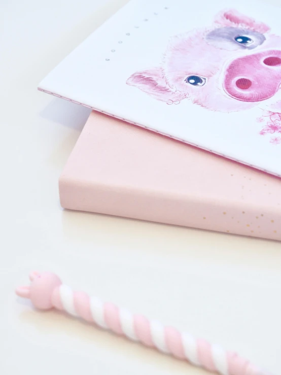 a birthday card sitting on top of a pink box, a picture, by Helen Stevenson, trending on pexels, process art, piggy, texture detail, 4k polymer clay food photography, childrenbook illustration