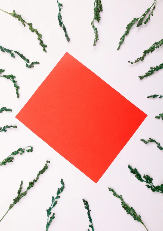 a red square surrounded by green plants on a white surface, an album cover, inspired by Ellsworth Kelly, trending on unsplash, color field, coral red, holiday, sheet of paper, red oval turban