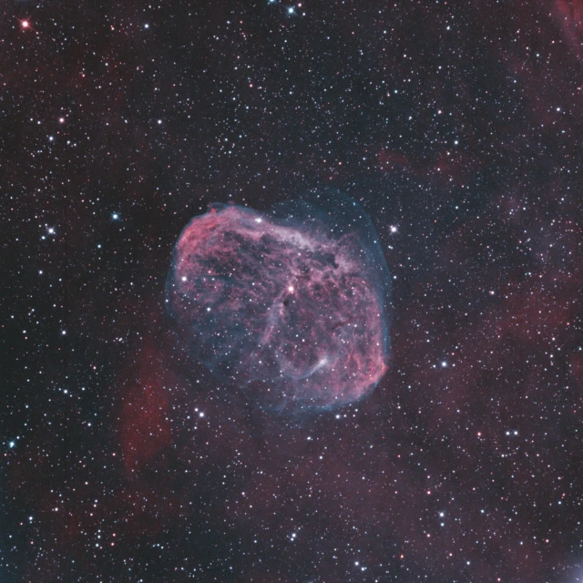 an image of a planetary object in the sky, a microscopic photo, by John Covert, colossal fluffy tardigrade, high resolution print :1 red, milky way nebula, pink