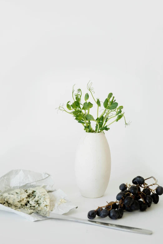 a white vase sitting on top of a table next to a bunch of grapes, unsplash, process art, herbs and flowers, clover, matte white background, salad