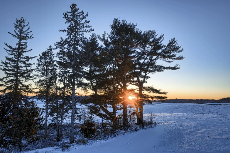 the sun is setting behind some trees in the snow, by Robert Storm Petersen, unsplash contest winner, lake view, pine tree, panorama, minn