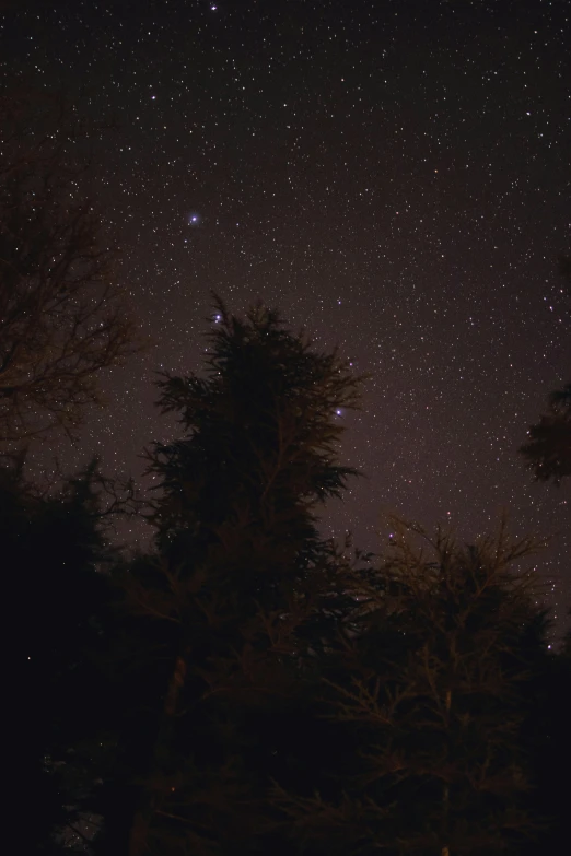 a night sky filled with lots of stars, unsplash, hurufiyya, scary pines, ✨🕌🌙, brown, low quality photo