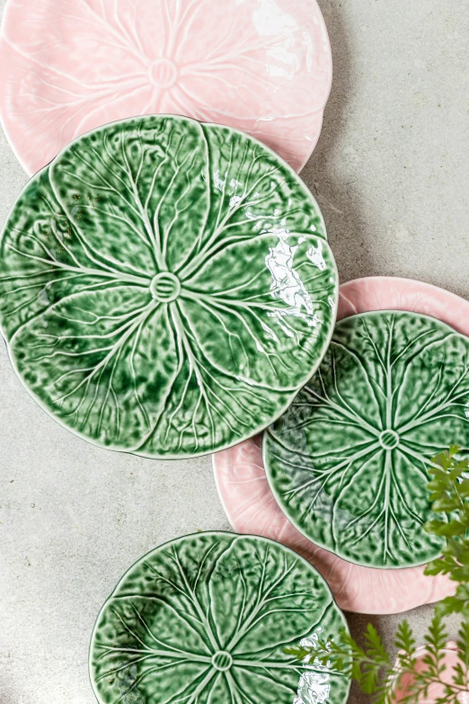 a bunch of plates sitting on top of a table, inspired by Annabel Kidston, arts and crafts movement, lettuce, lotus, textured, pink