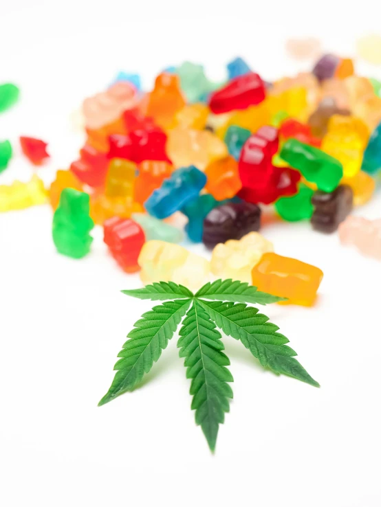 a marijuana leaf sitting on top of a pile of gummy bears, high quality product image”, vivid)