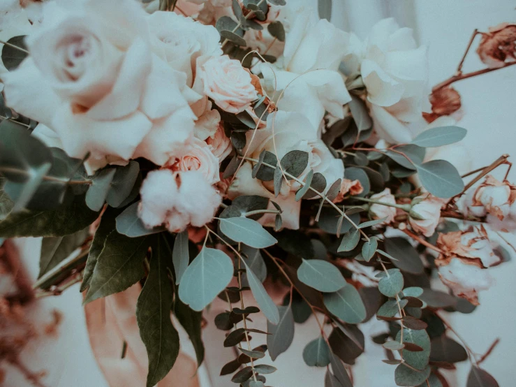 a close up of a bouquet of flowers on a table, by Emma Andijewska, trending on unsplash, romanticism, ivory and copper, background image, eucalyptus, high details photo