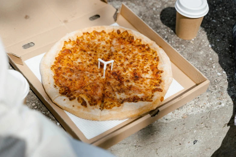 a close up of a pizza in a box, hurufiyya, mac and cheese, full product shot, max dennison, round-cropped