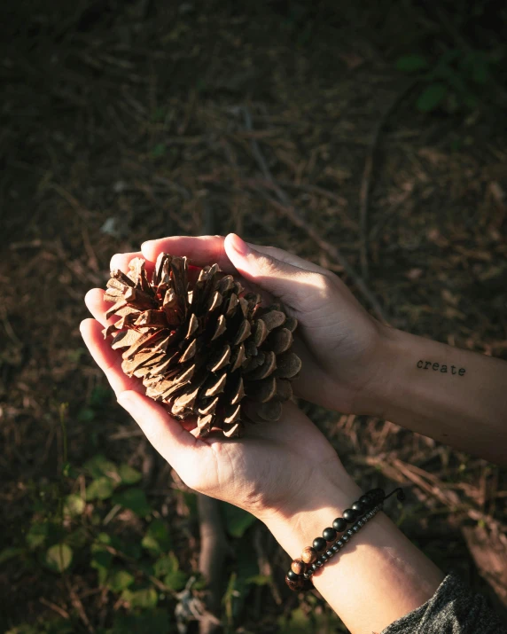 a person holding a pine cone in their hands, a tattoo, inspired by Elsa Bleda, pexels contest winner, land art, lgbtq, album cover, official screenshot, sustainable materials