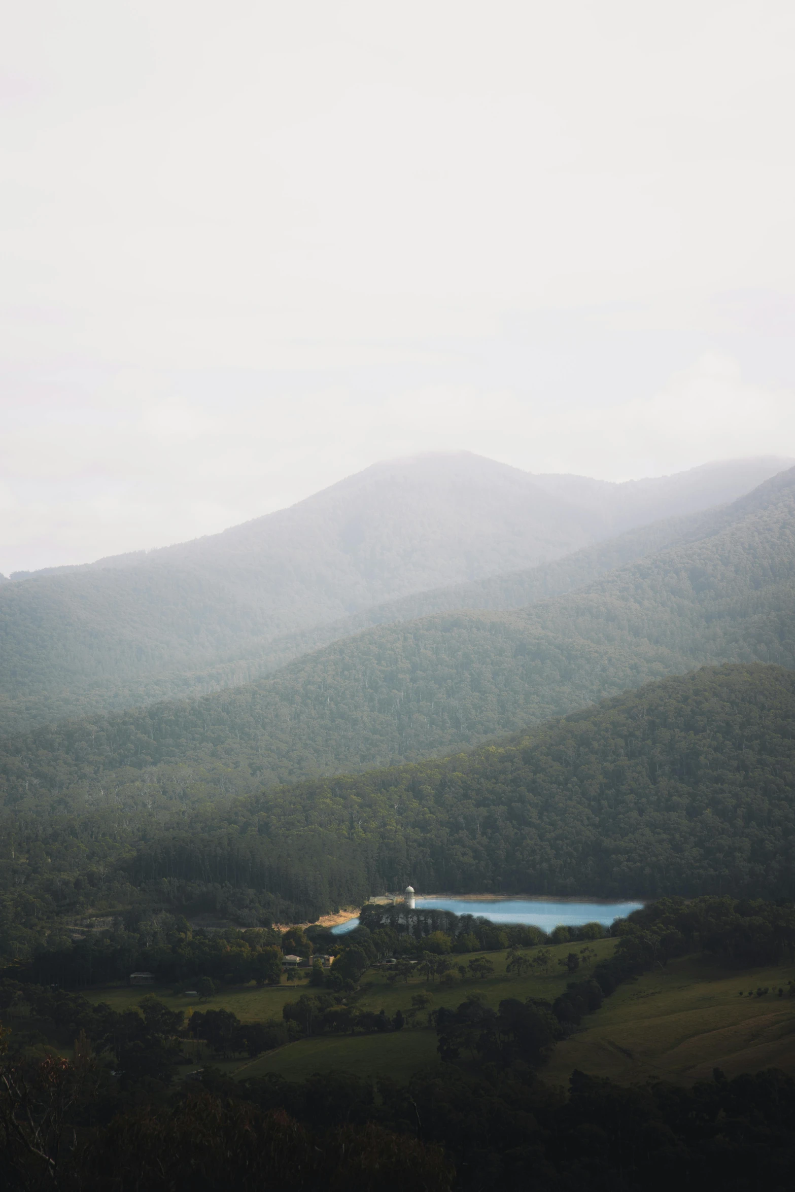 a large body of water sitting on top of a lush green hillside, inspired by Andreas Gursky, trending on unsplash, misty ghost town, 35 mm photo, lachlan bailey, pine forests