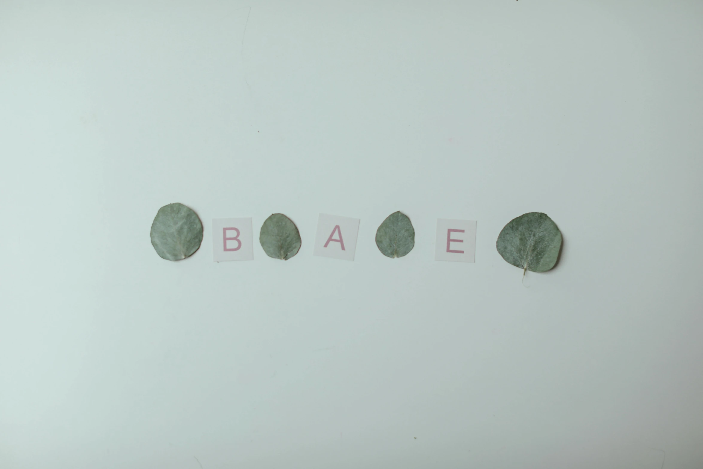 a piece of paper with the word baae written on it, an album cover, by Irene Bache, unsplash, environmental art, plant specimens, pregnancy, in a row, making out